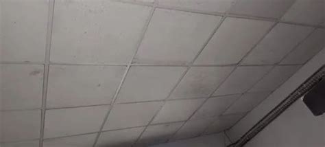 Grey Pvc Ceiling Sheet Thickness 8 Mm At Rs 80 Sq Ft In Ahmedabad