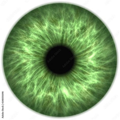 green eye iris pupil Stock Illustration | Adobe Stock