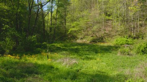 East Tennessee Mountain Land With An Abundance Of Water