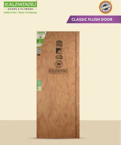 Kapataru 7Ply Classic Flush Door For Home At Rs 4500 Piece In