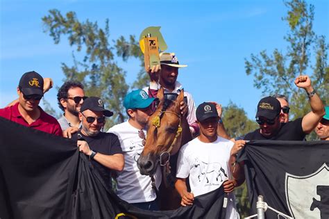 Exposi O Nacional Do Cavalo Campolina Est De Volta Belo Horizonte