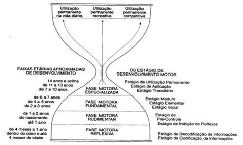 Fases Do Desenvolvimento Motor - Desenvolvimento motor: padrões motores fundamentais de movimento em ...