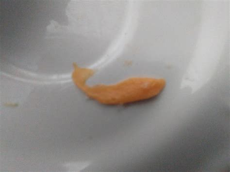 The cheese on my plate looks like a whale. : r/mildlyinteresting