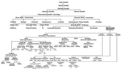 Gandhi Jayanti: All you need to know about Mahatma's family tree – India TV