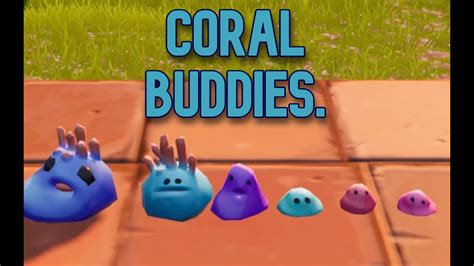 Where To Find The Coral Buddies In Chapter 5 Youtube