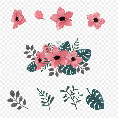 Conjunto De Flores De Vetor Flor Flores Floral Imagem Png E Vetor