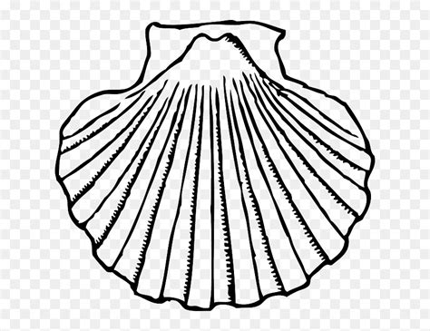 Scallop Shell Royalty Free Vector Clip Art Illustration Anim