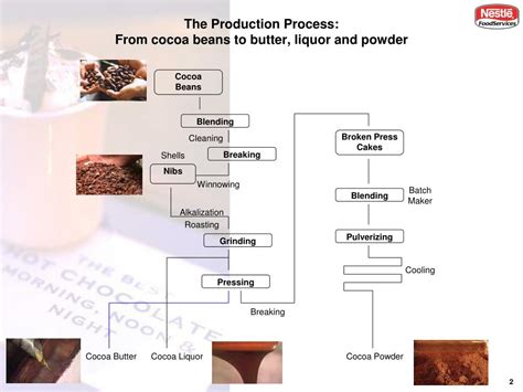 Ppt Cocoa What Is It Where Does It Come From Powerpoint