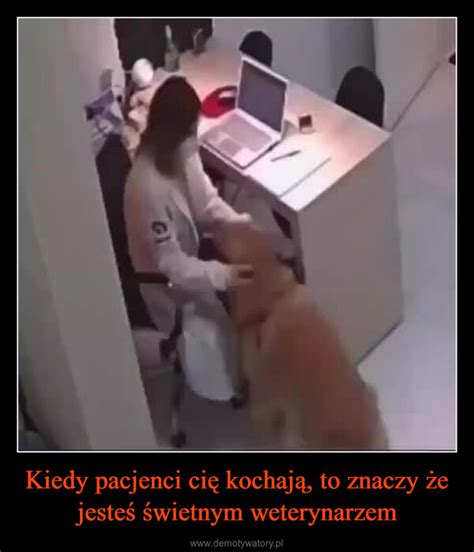 Kiedy pacjenci cię kochają to znaczy że jesteś świetnym weterynarzem