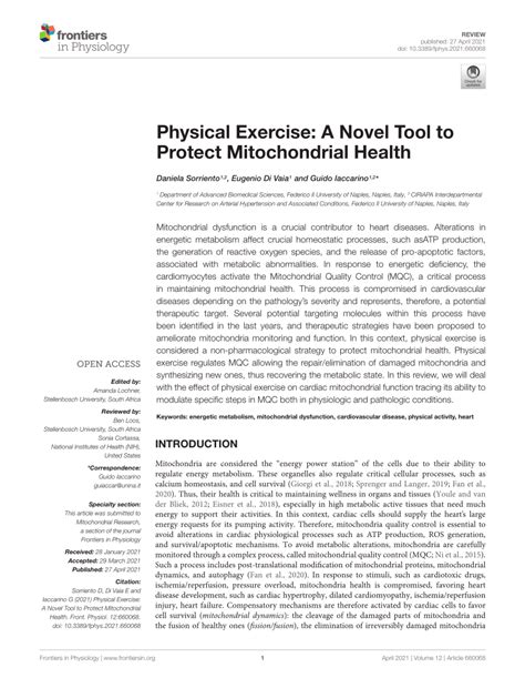 Pdf Physical Exercise A Novel Tool To Protect Mitochondrial Health