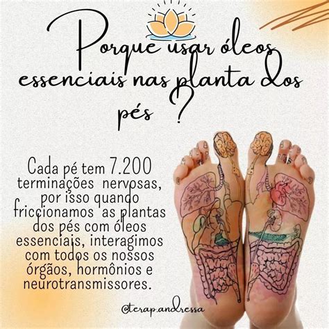 Reflexologia Podal 👣 On Instagram “o Que é óleos Essenciais