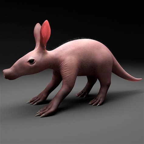 3dsmax baby aardvark