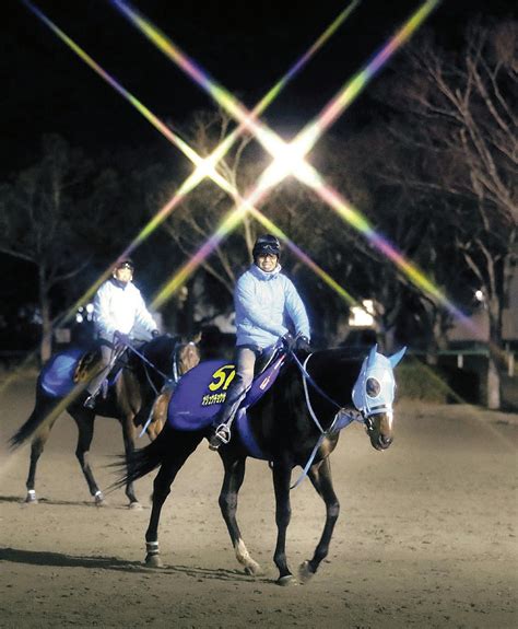 【有馬記念】障害界の絶対王者、オジュウチョウサンで挑む平成最後のグランプリ。武豊騎手「何とか見せ場をつくりたい」 Umatoku 馬トク