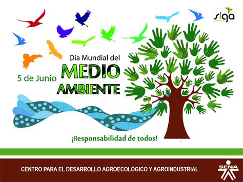 5 De Junio Dia Del Medio Ambiente