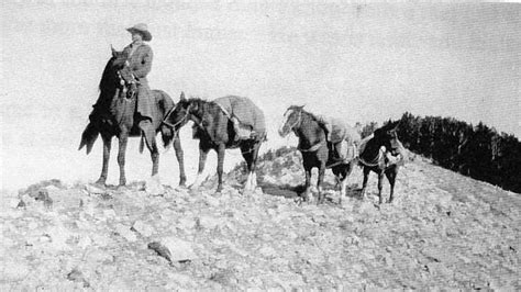 Wyoming Cowboy Hall of Fame: Bill Francis,… | Cowboy State Daily