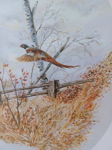 Authentic Ring Necked Pheasant Print Signed By Tim Leonardelli Edition