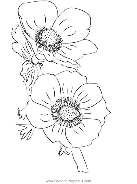 Anemone Coloring Page