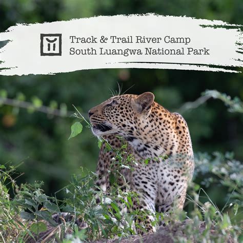 Remote Africa Safaris - Home | Facebook