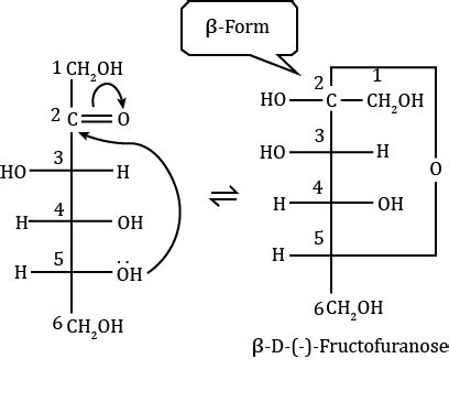 The furanose structure of fructose is obtained by the interaction of ...