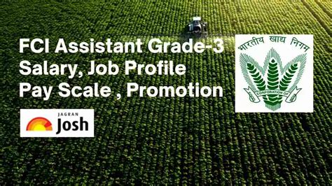 FCI Assistant Grade 3 Posts Recruitment 2023 Check Salary Job Profile