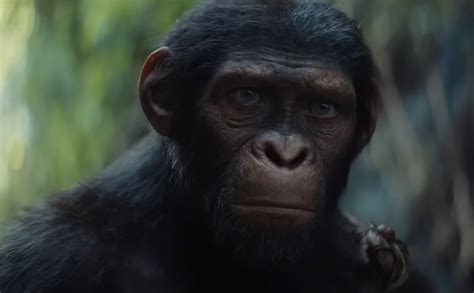 Planeta dos Macacos O Reinado veja trailer e data de lançamento do