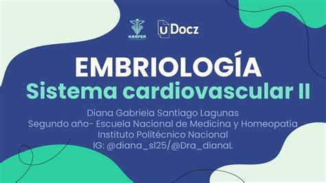 Sistema Cardiovascular Ii Harper Navarro Udocz