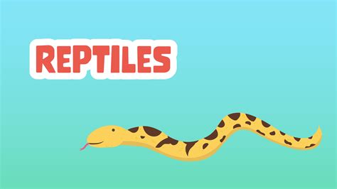 Reptiles Facts for Kids - 5 Rich Facts about Reptiles - LearningMole