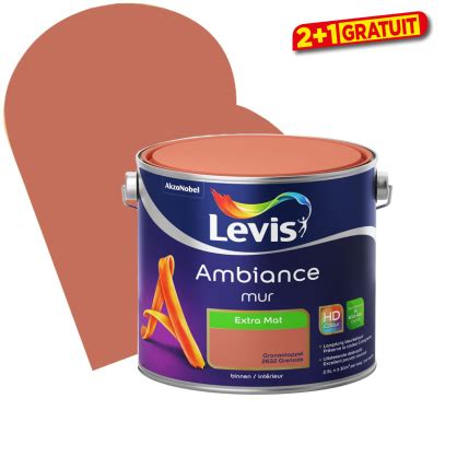 Peinture Murale Ambiance Grenade Extra Mat L Levis