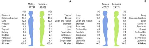 The 10 Leading Types Of Estimated New Cancer Cases And Deaths By Sex In