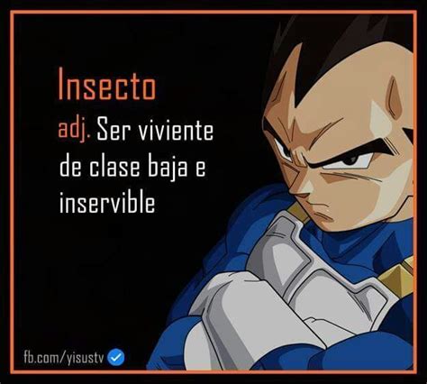 Las Frases De Vegeta Dragon Ball Espa Ol Amino Anime Dragon Ball