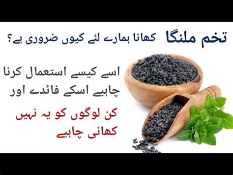 Tukh Malanga Ke Fayde Basil Seeds Benefits For Weight Lose Stomach