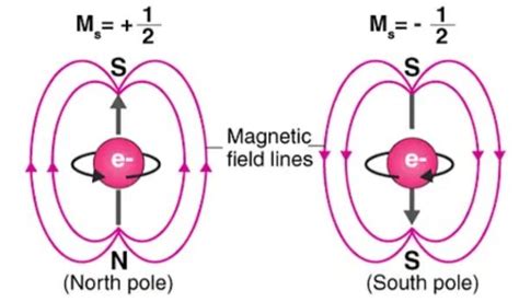 How Does A Magnet Work Dailymag