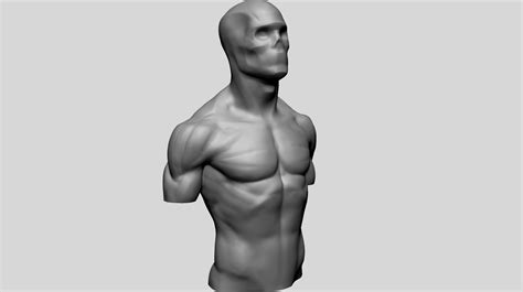 Artstation Male Torso Models For Reference Resources