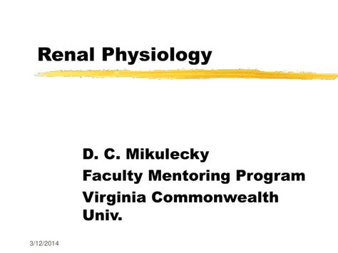 Ppt Renal Physiology Powerpoint Presentation Free Download Id332333