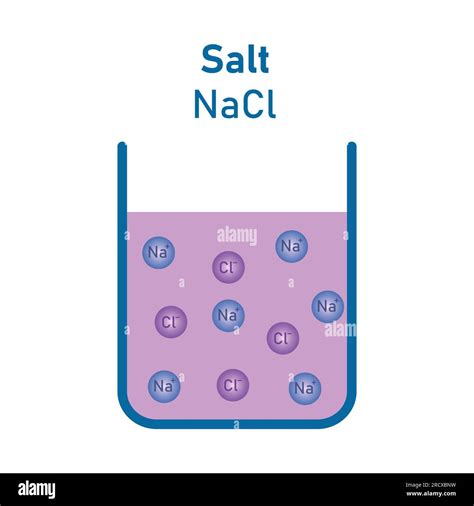 Salt (NaCl) solution. Electrolytic dissociation. Scientific vector ...