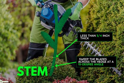 How To Use A Black And Decker Hedge Trimmer [step By Step Guide]