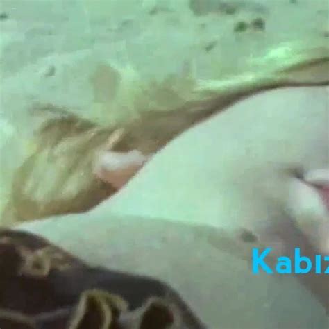 Sibel Gokce Nin Memelerini Yadigar Ejder Emiyo HD Porn E9 XHamster