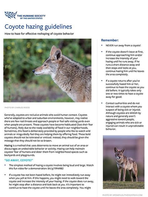 Wildlife Fact Sheets Humanepro By The Humane Society Of The United States