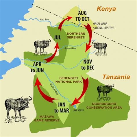 Back To Africa Migration Map