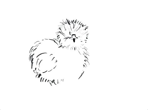 Silkie Chicken Coloring Pages