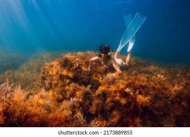 Naked Slim Woman Freediving Fins Swim Stock Photo 1993889489 Shutterstock