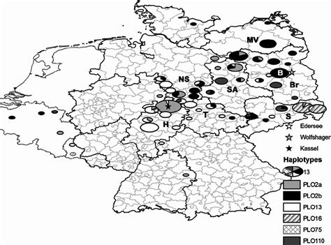 Geographic Distribution Of The Haplotypes Observed In The Present