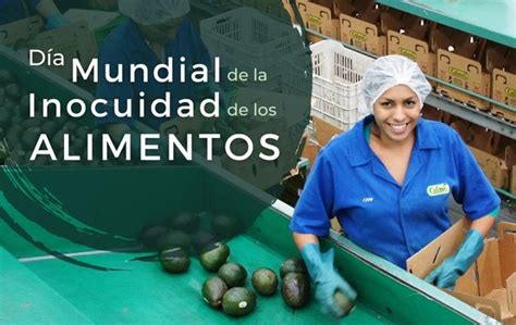 D A Mundial De La Inocuidad De Los Alimentos Secretar A De