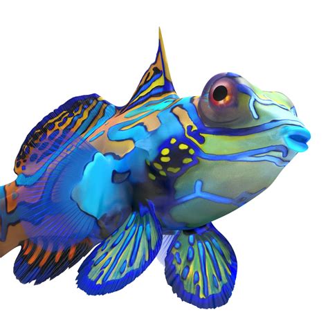 mandarinfish colors 3d max