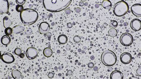 oil  water  microscope stock video pond microscopic