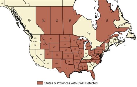 Cwd Disease Map - Sibyl Fanechka