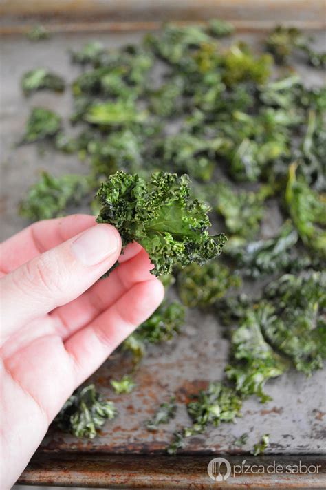 C Mo Hacer Chips De Kale O Col Berza Pizca De Sabor