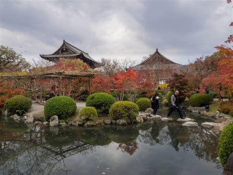 toji temple  stock  pictures royalty  images
