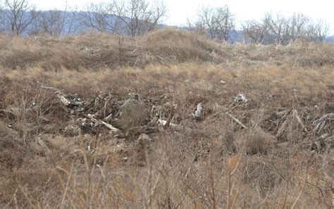 This Notorious Slate Belt Stump Dump May Reopen After Closing More Than