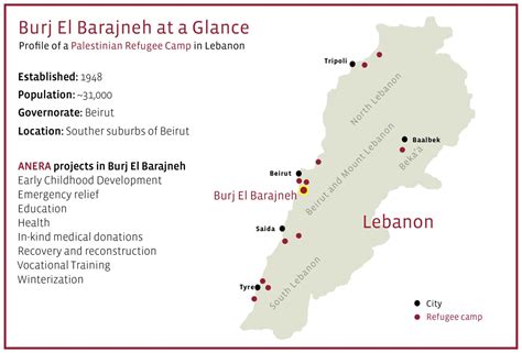 Palestinian Camps in Lebanon Provide Safe Place | Anera